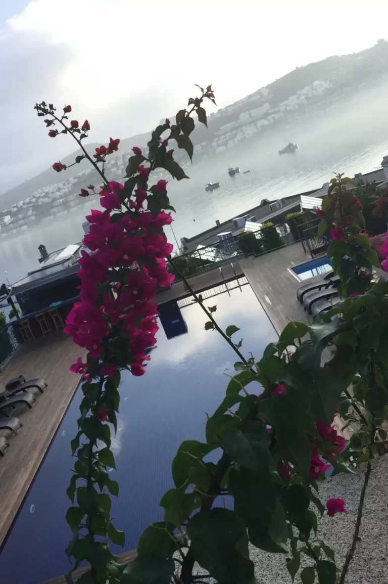 costa-farlya yuzme-havuzu-projesi-02